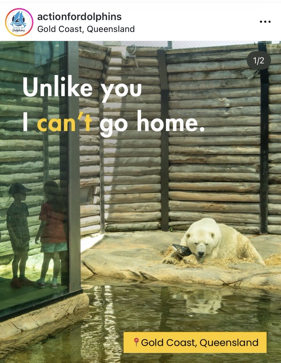 Rach 🌱 tweet media