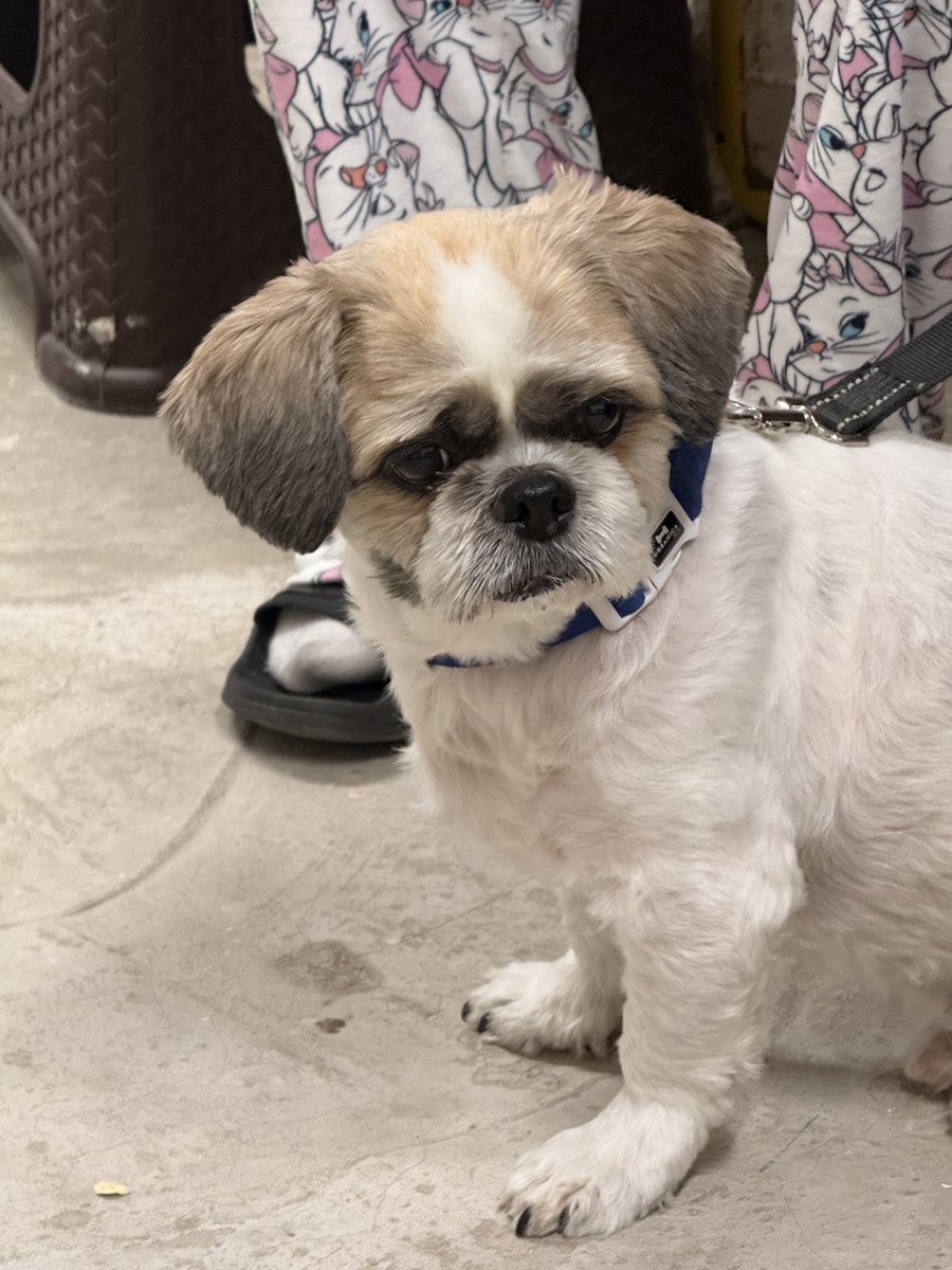 УСПЕХ tweet media