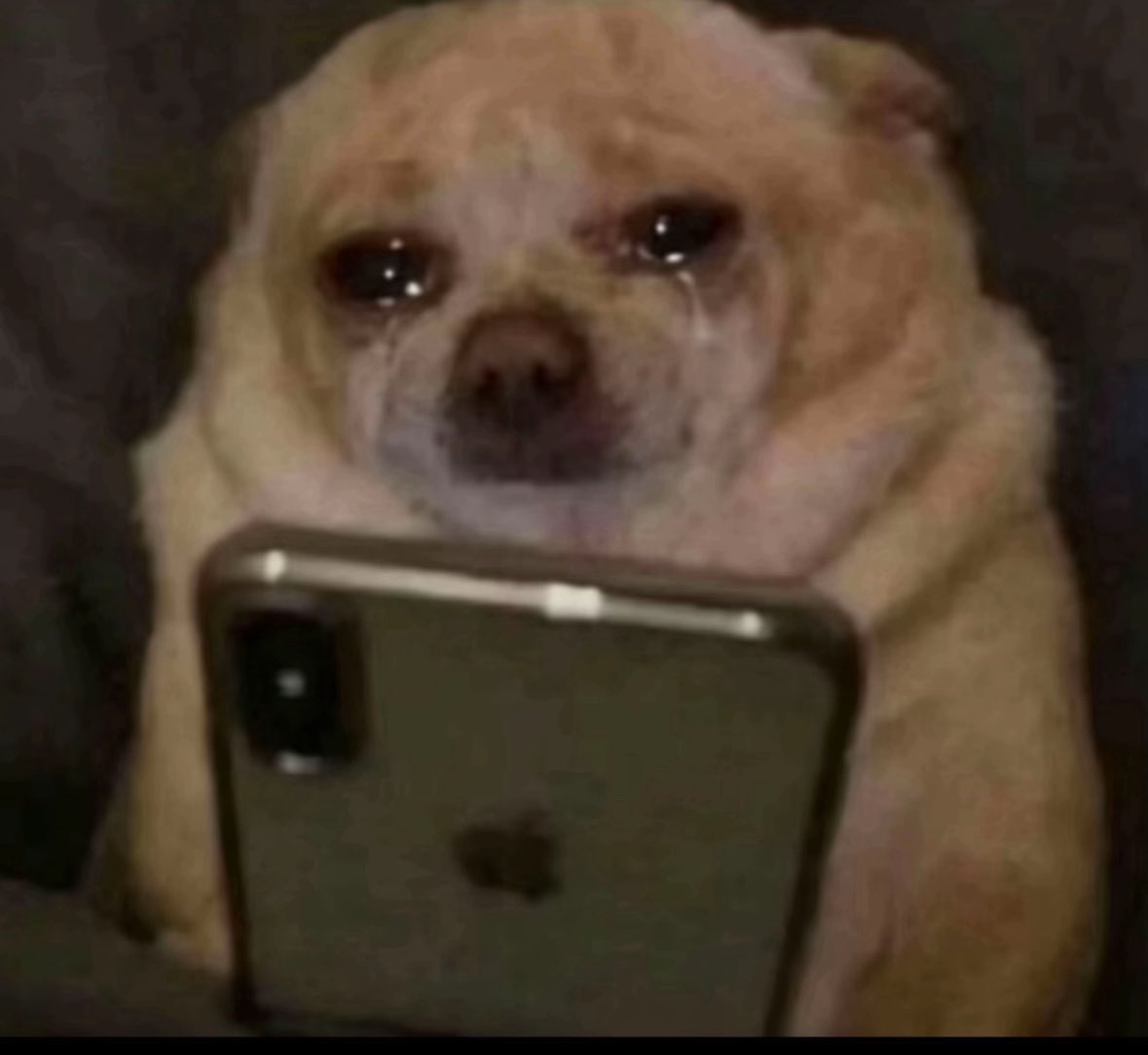 Coddenfx 🕊️ tweet media