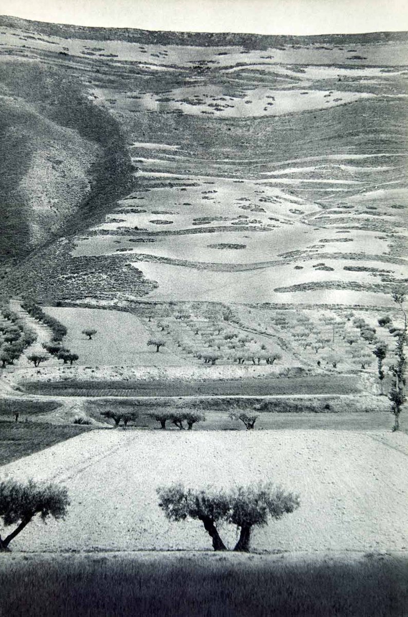 Thomas C. tweet media