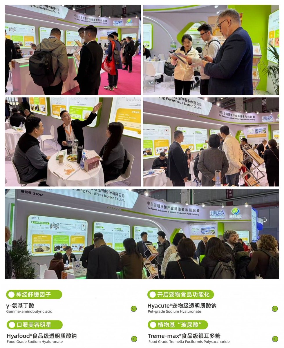 Focusfreda Biotech tweet media