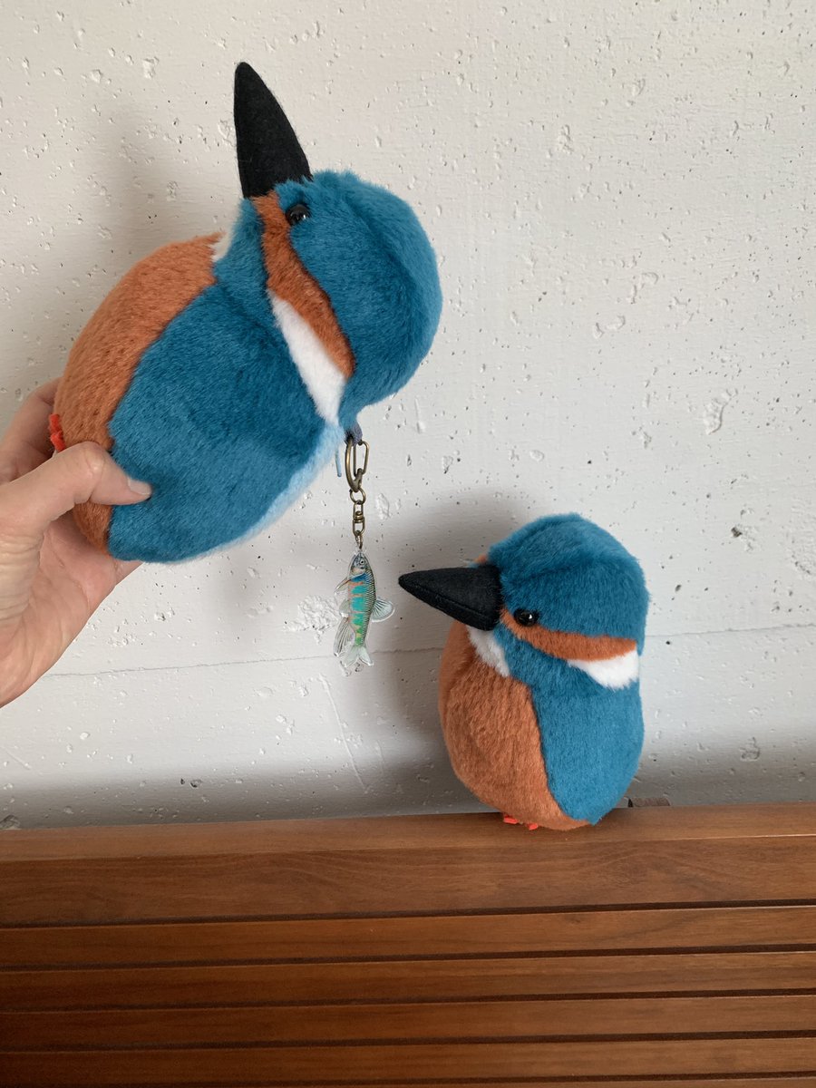 もふもふとり工房 tweet media