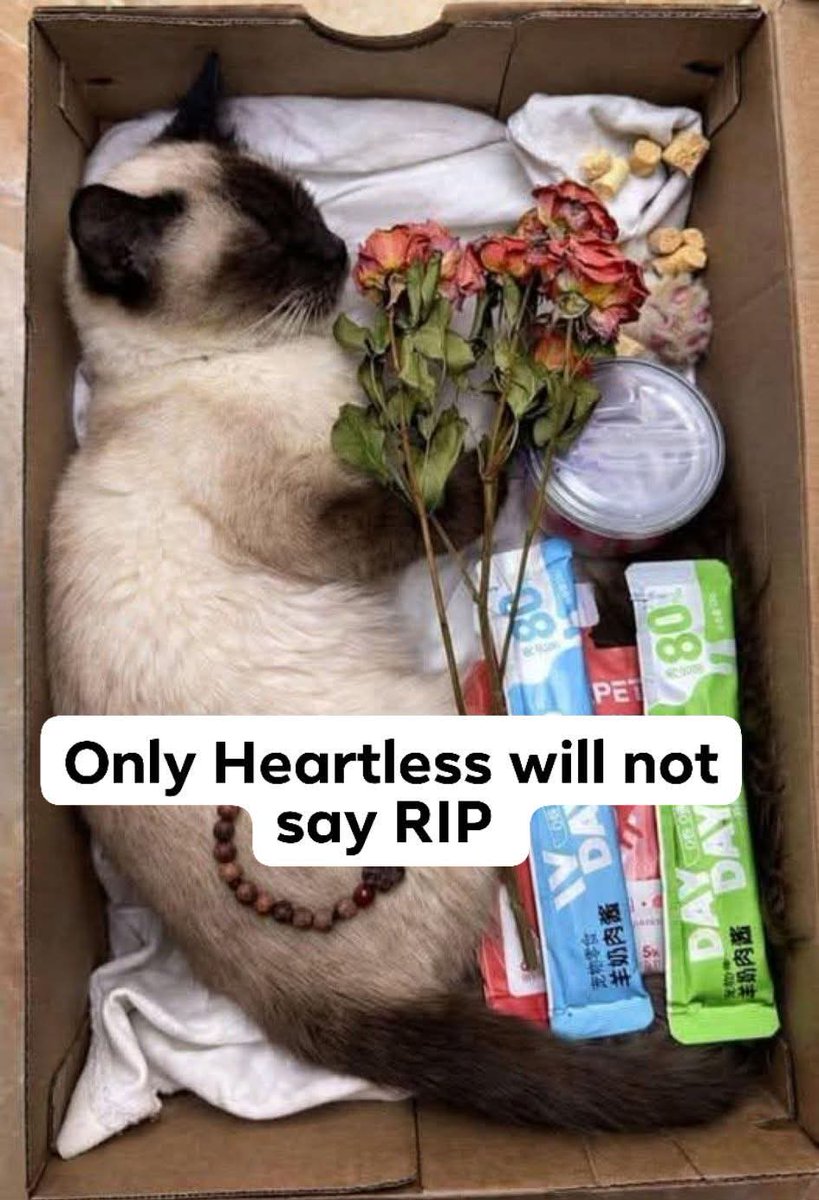 Kristina Bolten tweet media