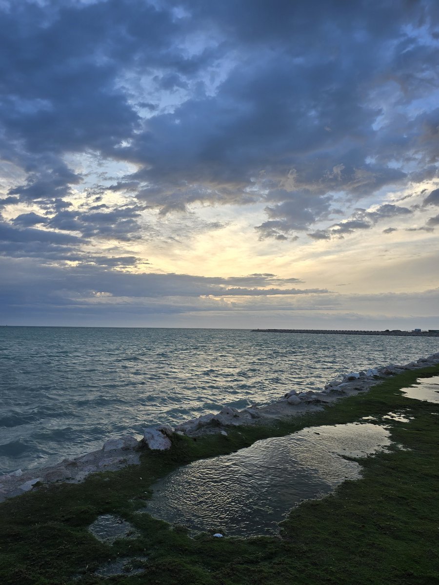 زياد🇪🇬🇸🇦 tweet media