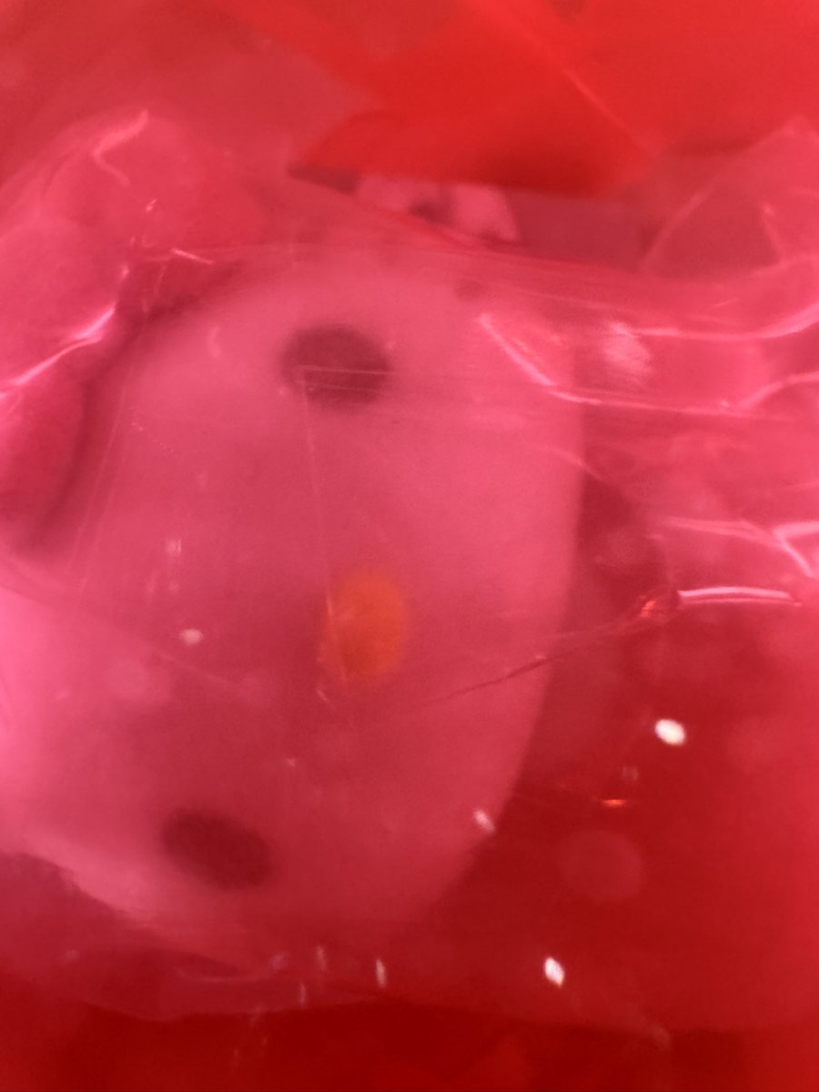 みん¨̮ tweet media