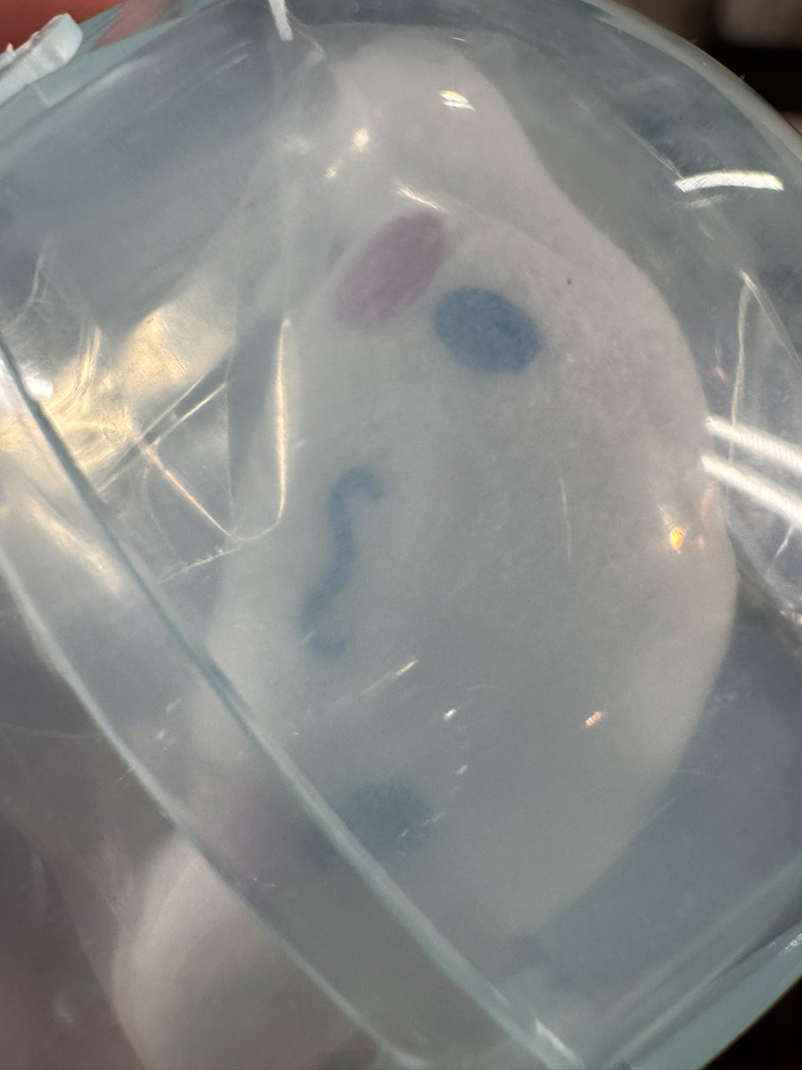 みん¨̮ tweet media