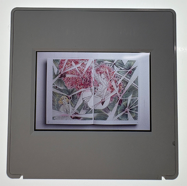 アフタヌーン tweet media