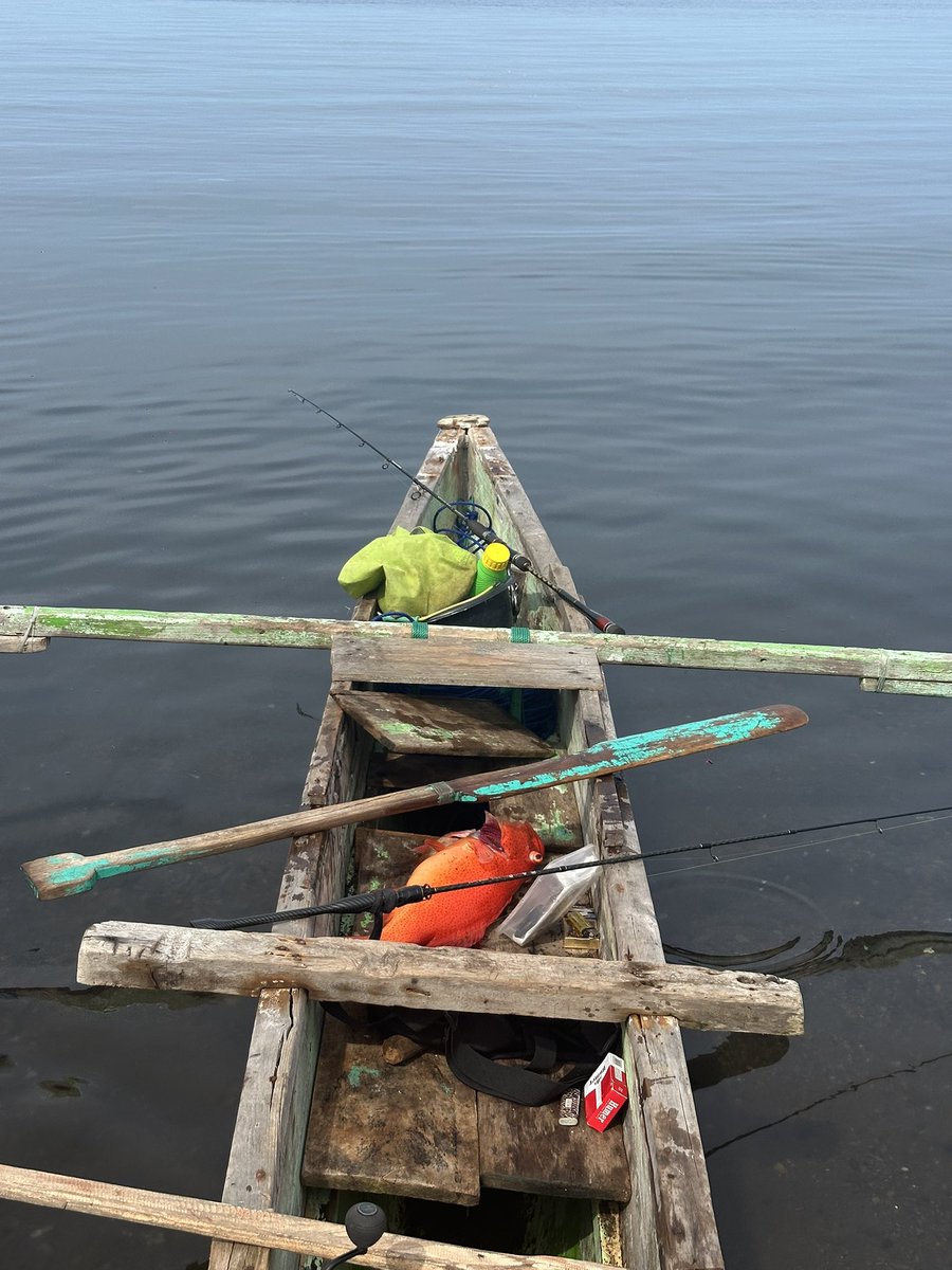 Bluelighter8 tweet media