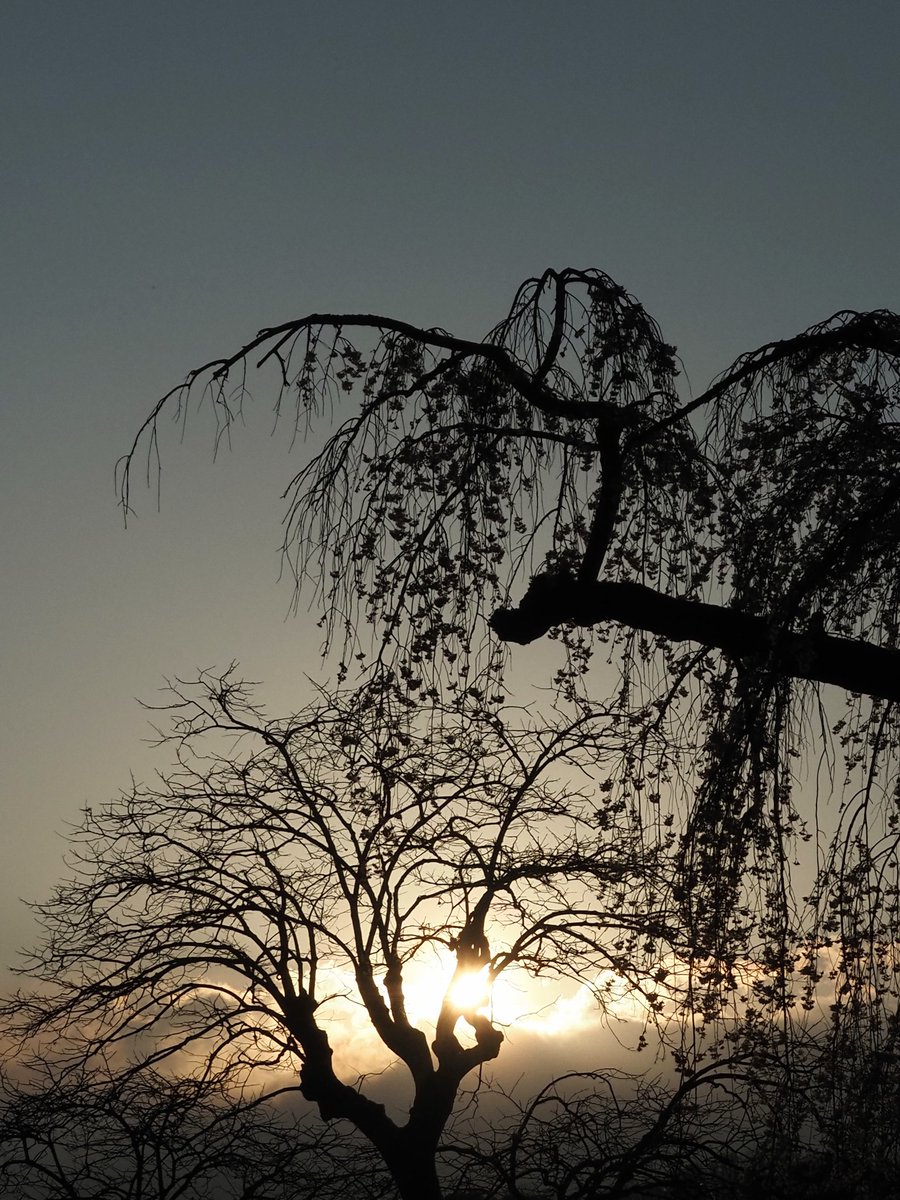 レイン tweet media