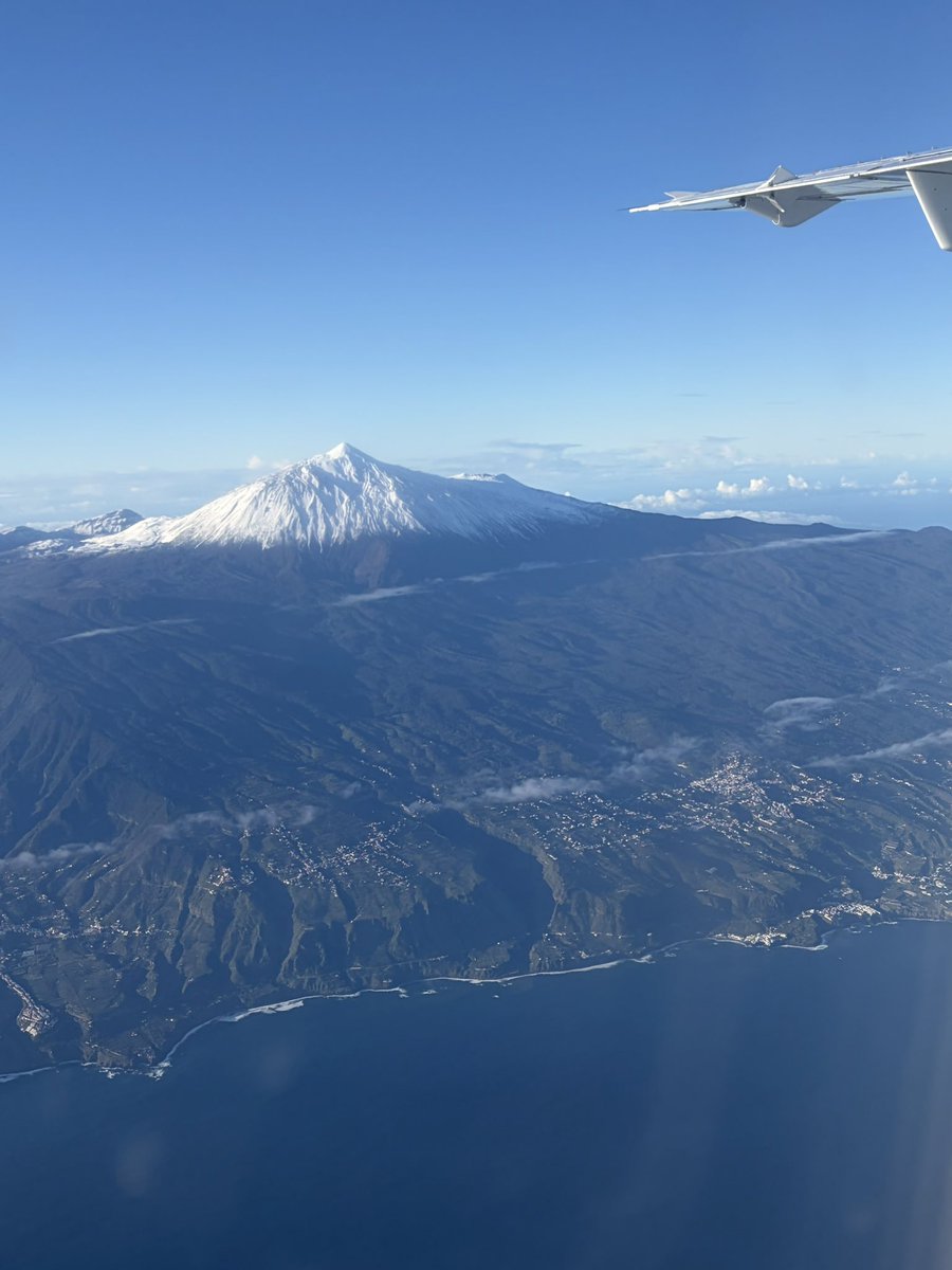 David Suárez tweet media