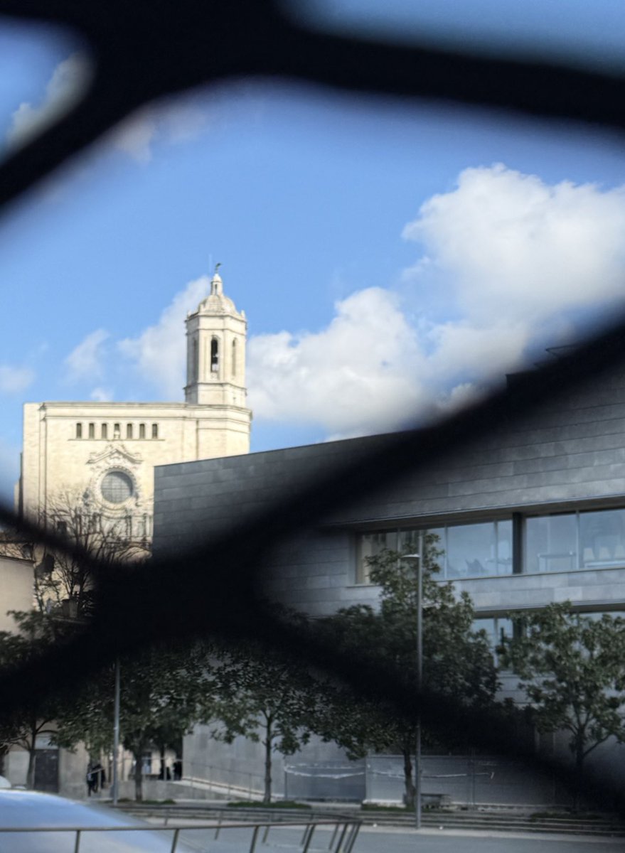 Montse Forga tweet media