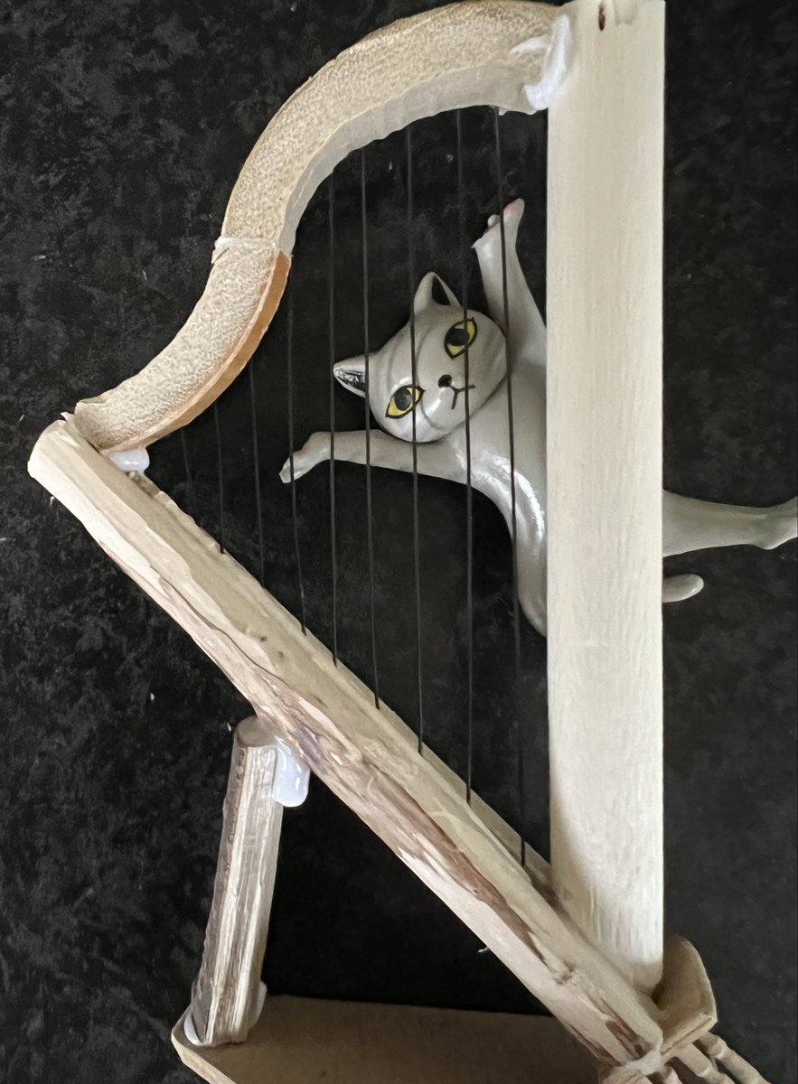 滝壺ほむら tweet media