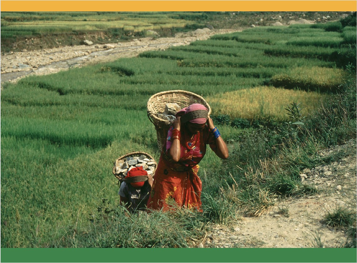 Asia Indigenous Peoples Pact (AIPP) tweet media