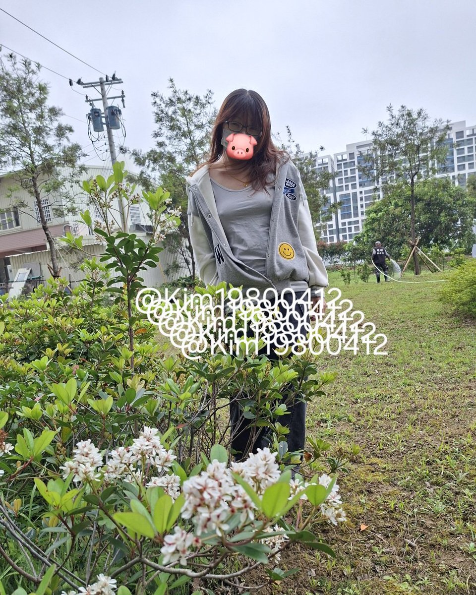 老猴～🐒 tweet media