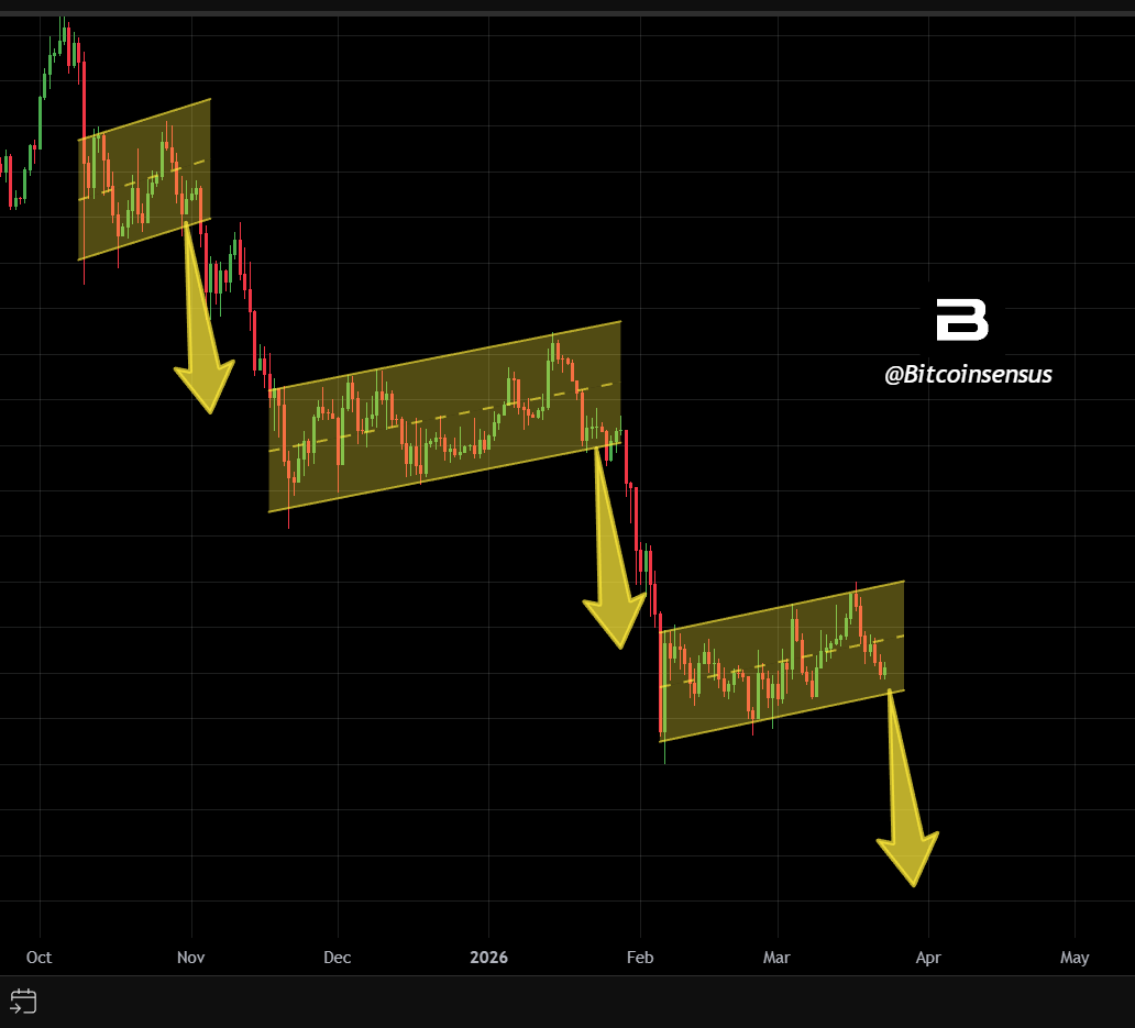 Bitcoinsensus tweet media