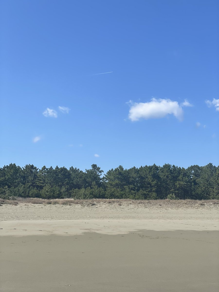 あかつきシアター tweet media