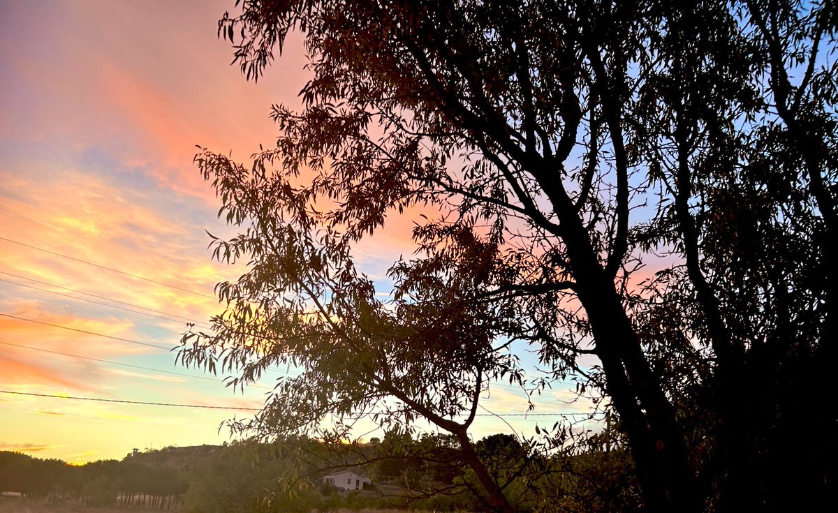 Breverías tweet media