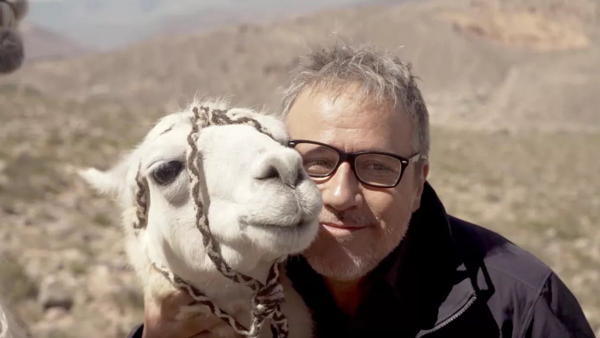 France TV Pro tweet media