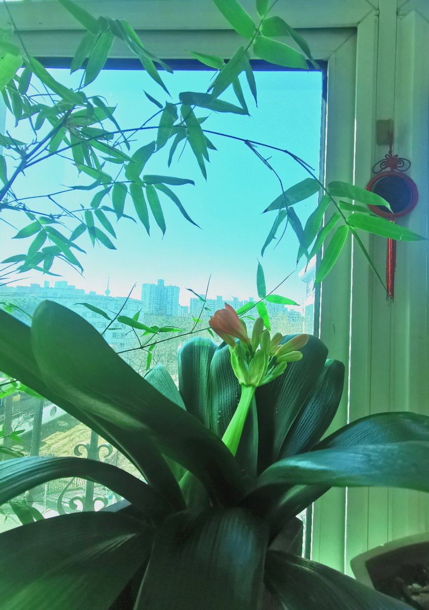 jimmjo jordan tweet media