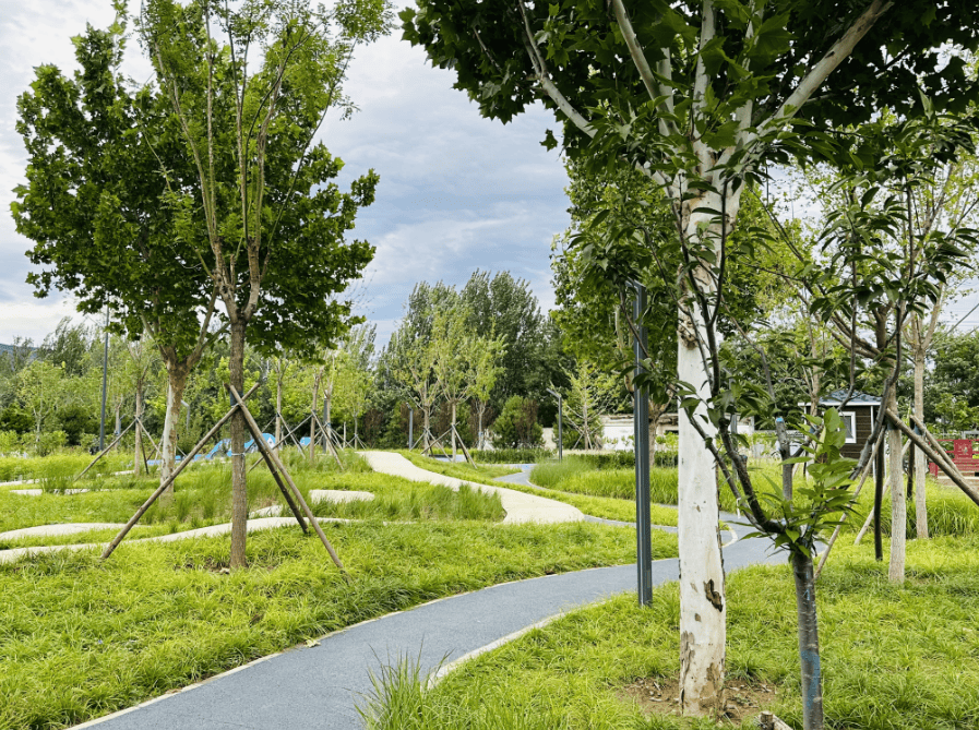 flavio guastamacchia tweet media