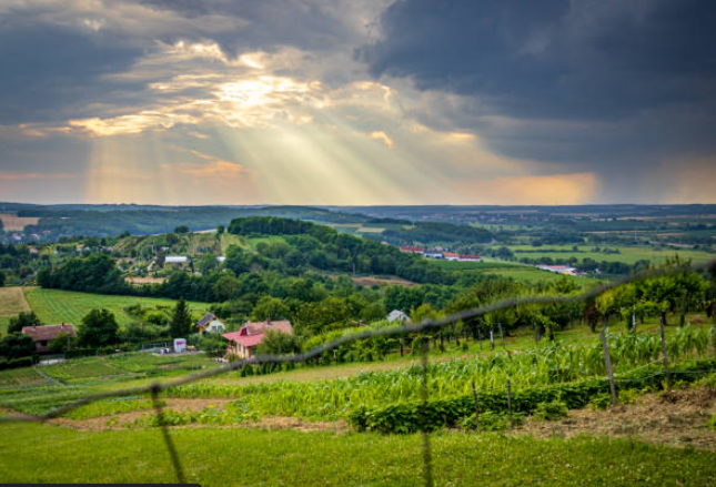 Chris Jansen  tweet media