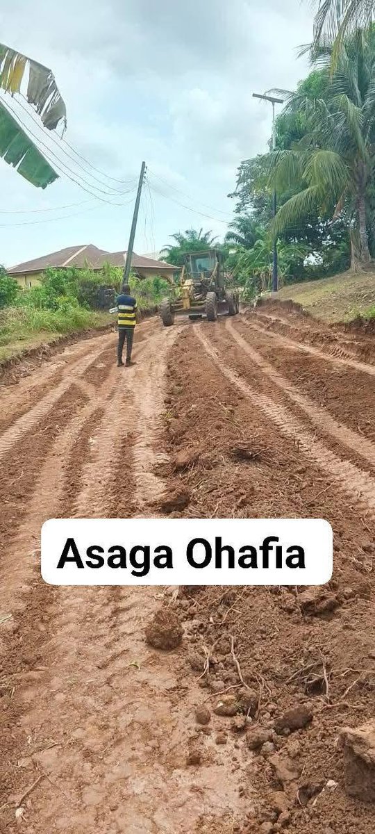 Abia Daily tweet media