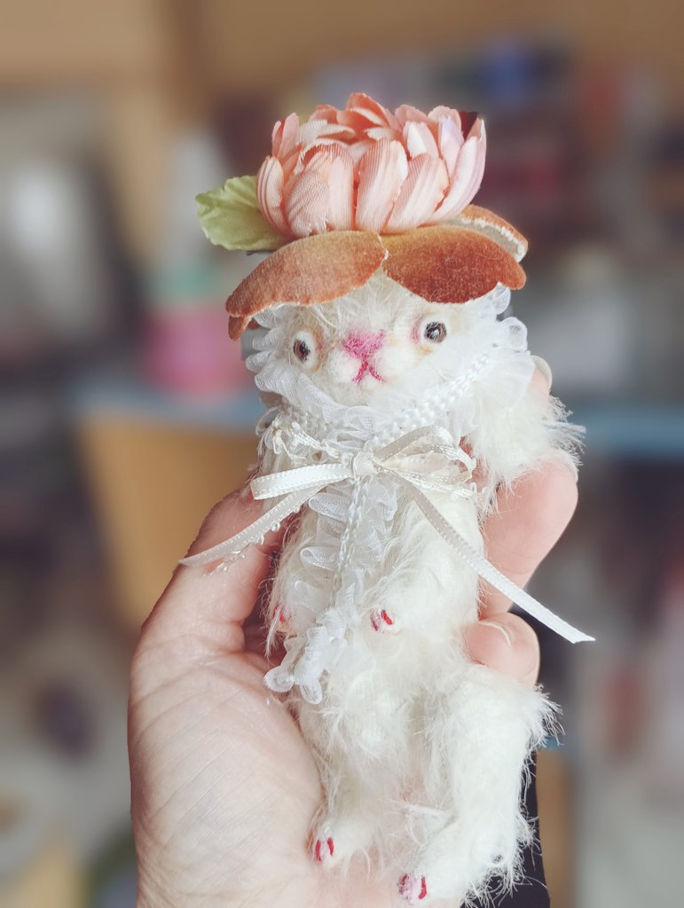 伊藤毬乃 / ito-zakka tweet media