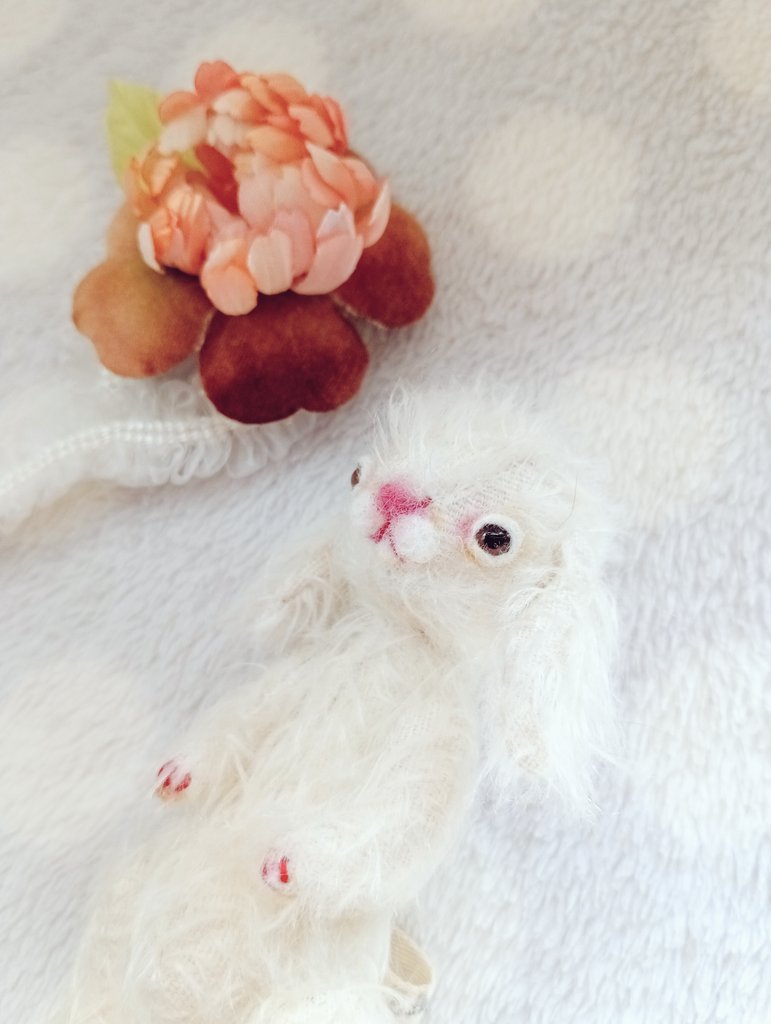 伊藤毬乃 / ito-zakka tweet media