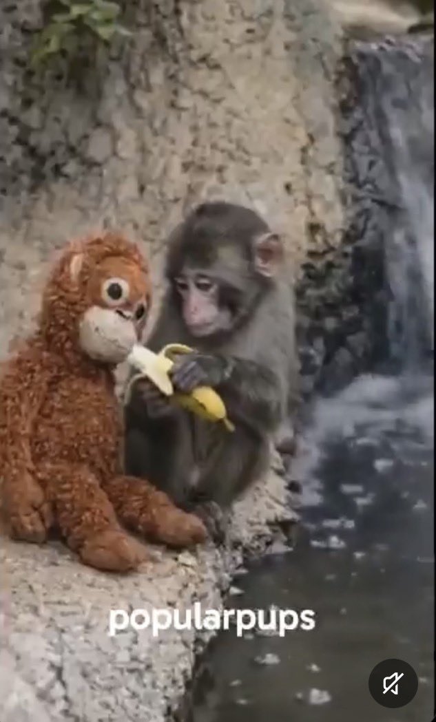 럼통이 tweet media