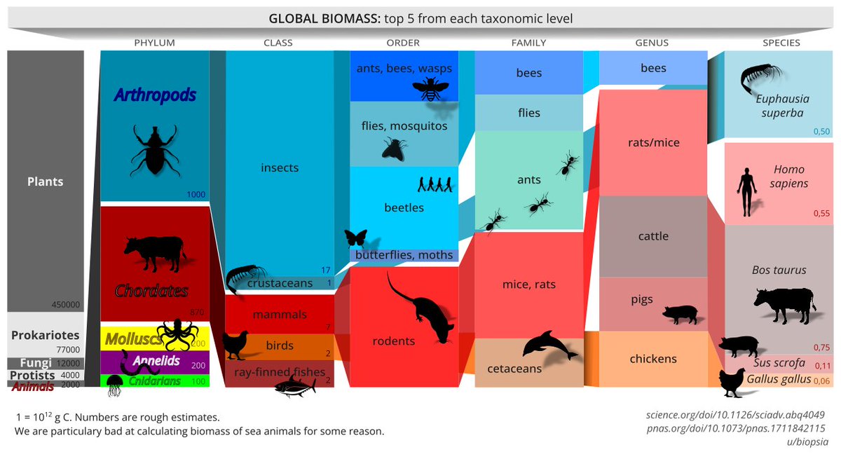 reallyjoel tweet media