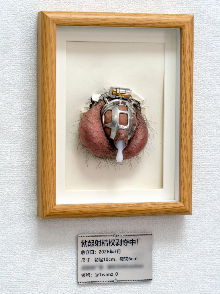 柴犬だんご tweet media