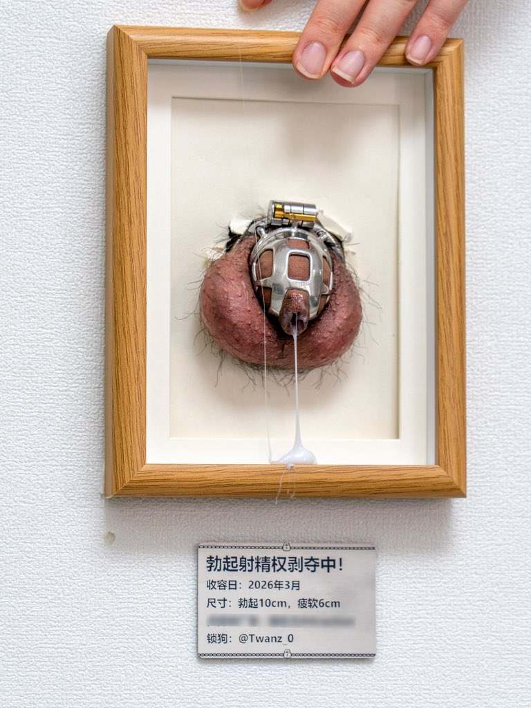 柴犬だんご tweet media