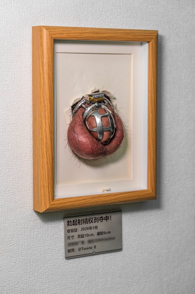 柴犬だんご tweet media