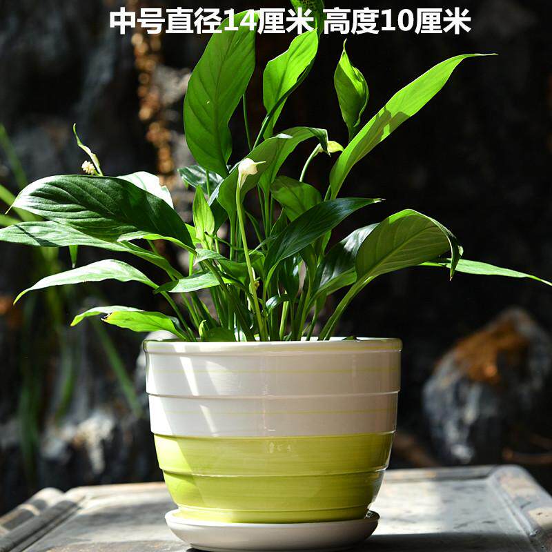 Margo Osinski tweet media