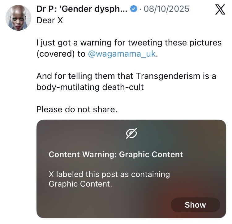 Saltopus elginensis tweet media