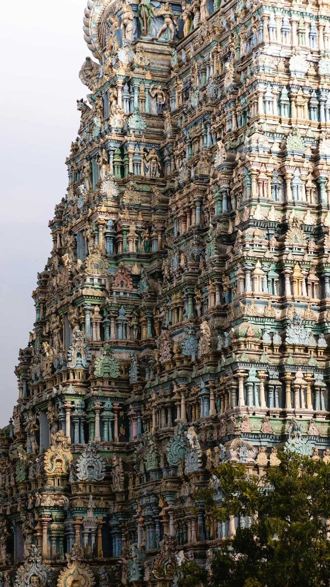 Silly (🇮🇳) tweet media