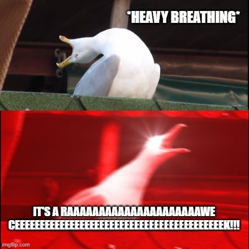 Kristián Martinkovič tweet media