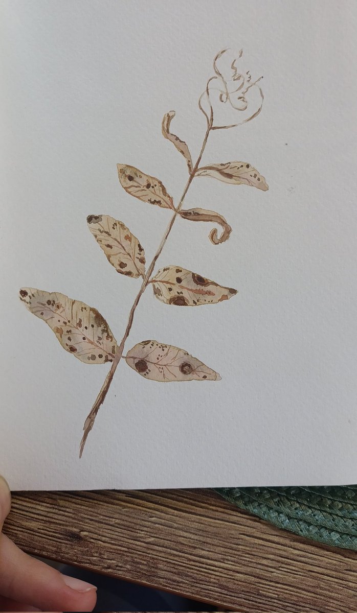 Веточку нарисовала вот.