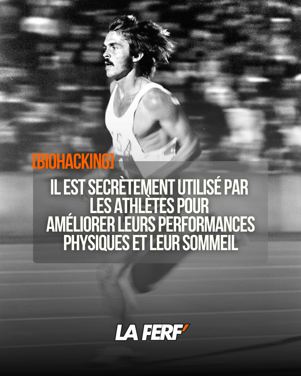 Flo 🧙‍♂️ tweet media