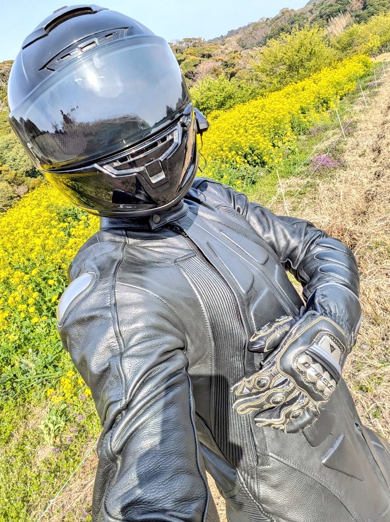 🍖ライ🍗 tweet media