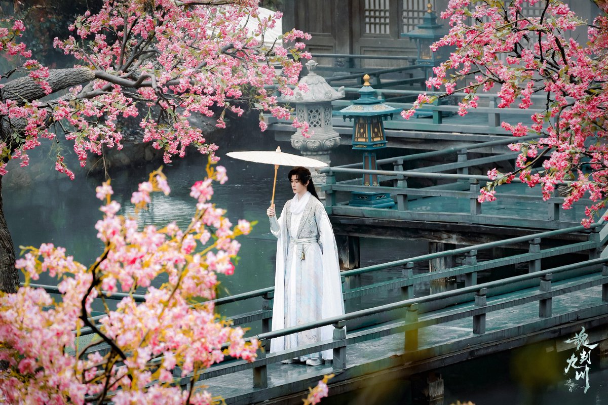 欣欣 ꔛ ༊*·˚🌷 tweet media