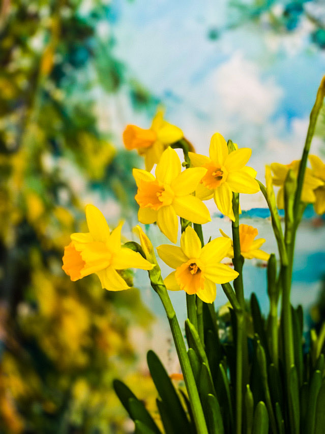 juju52🛫✨ tweet media