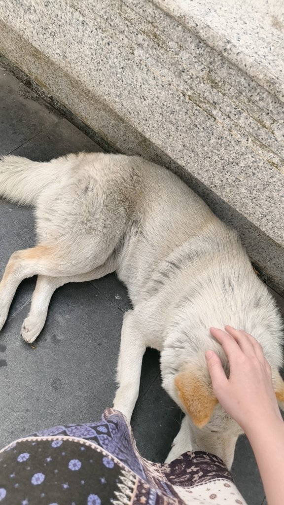 月光超载 tweet media