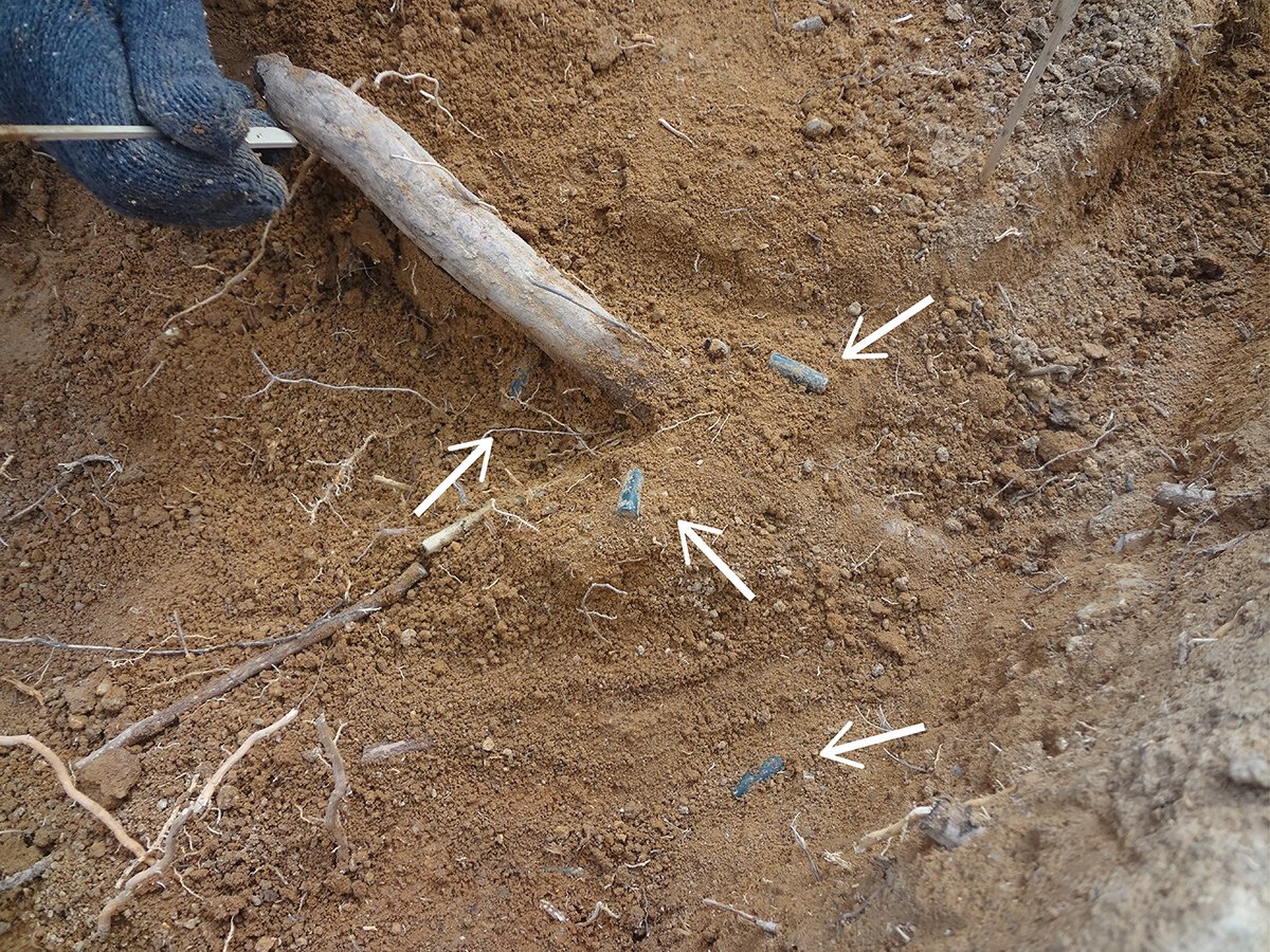 愛知県埋蔵文化財センター tweet media