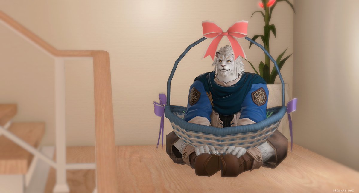 Sol Leone tweet media