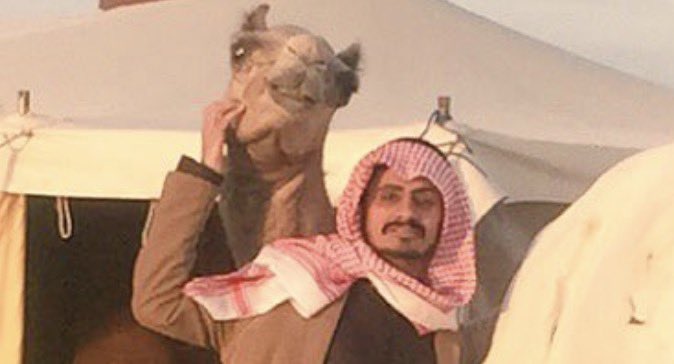 سلطان بن غانم آل مرضي✯. tweet media