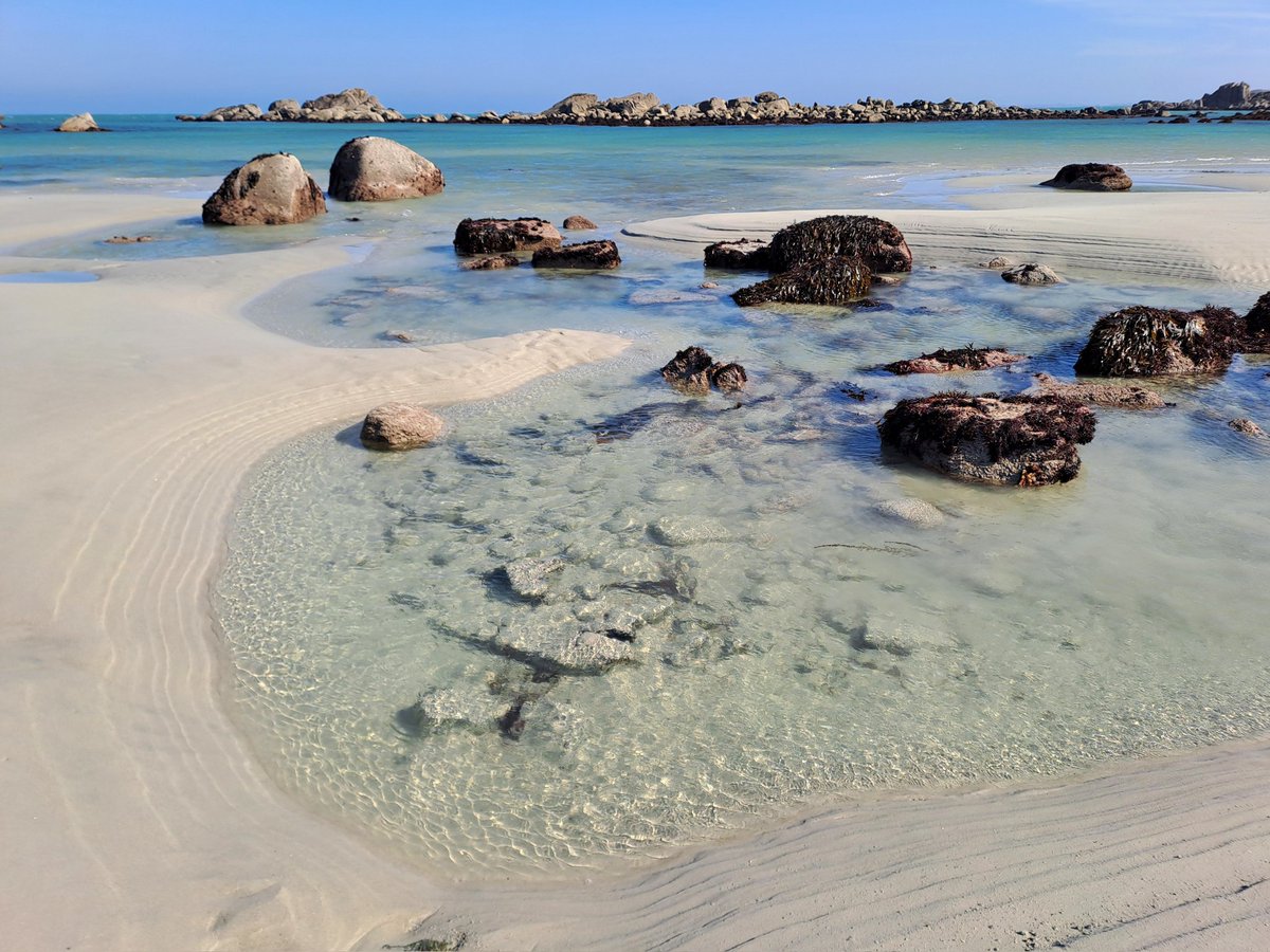 Doc Intubator tweet media