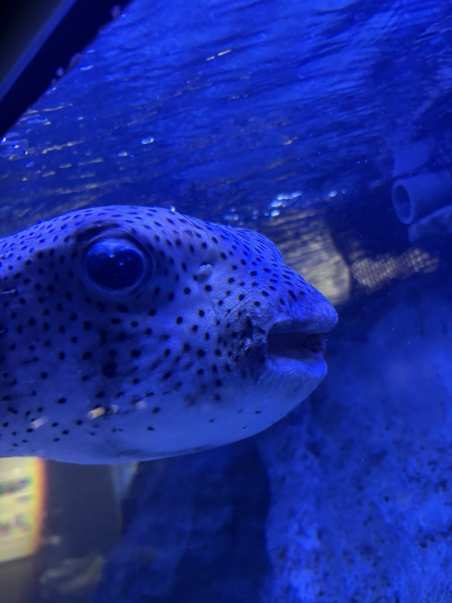 ばなな tweet media