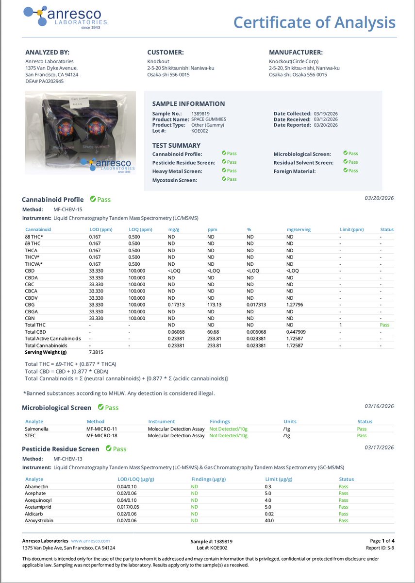 Knockout_Official tweet media