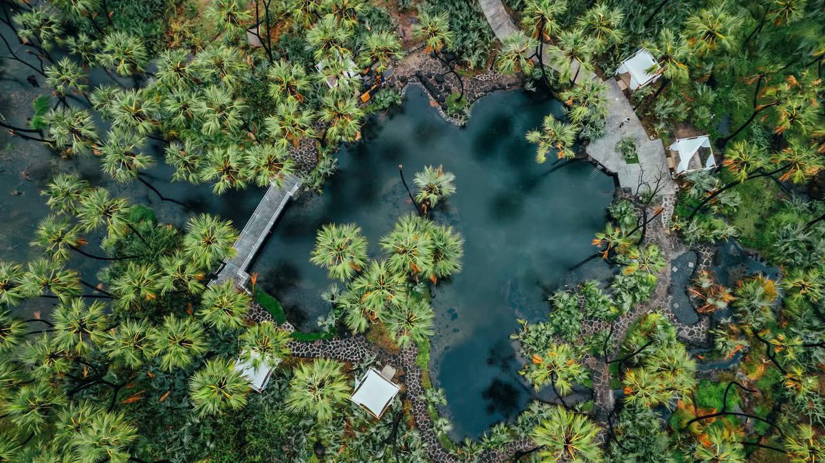 Billene ቢልለኔ Aster Seyoum tweet media